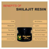 Fij Ayurveda Pure Shilajit Resin (20g)