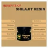 Fij Ayurveda Pure Shilajit Resin (20g)