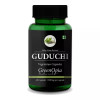 GreenOpia Naturals Guduchi (Giloy) Vegan  Capsules (60cap)