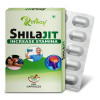 Riffway Shilajit (10 Capsules)