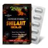 Riffway Shilajit Gold (10 Capsules)