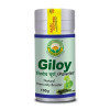Basic Ayurveda Giloy Powder (100g)