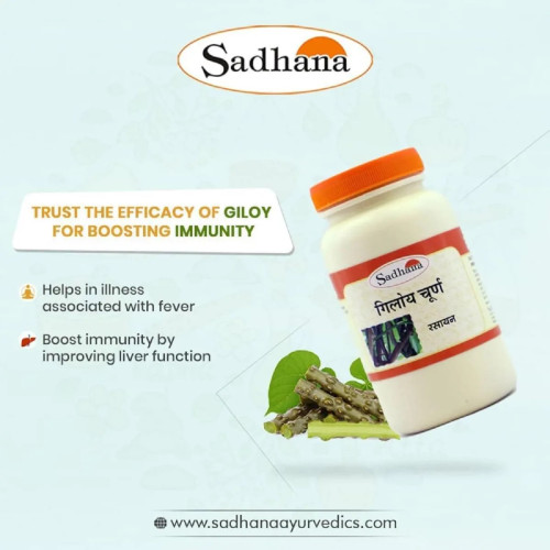 Sadhana Giloy Powder (200g)