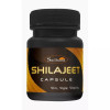 Sadhana Shilajeet  Capsulesule (30cap)