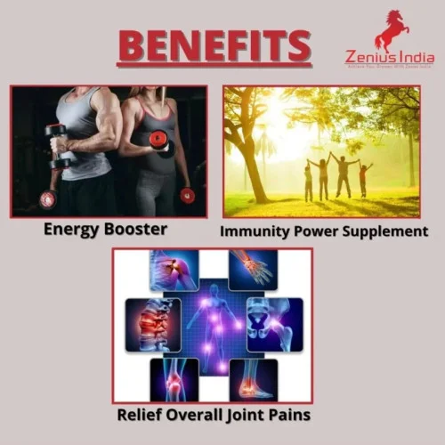 Zenius India Mega Plus (60cap)