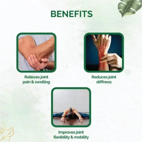 Zenius India Joint Care  Capsules + Joint Care Oil (60 Capsulesule + 60ml Oil) (1Pack)