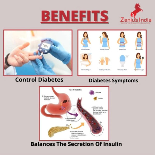 Zenius India Diabetic  Capsulesule For Diabetes Control (60cap)