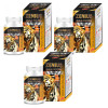 Zenius India Gold Power Sexual  Capsulesule For Men (60cap, Pack of 3)
