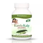 Bansiwala Karela Kalp Anti Diabetes  Capsulesule (60 Capsules)
