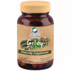 Organic Wellness Giloy (90 Capsules)