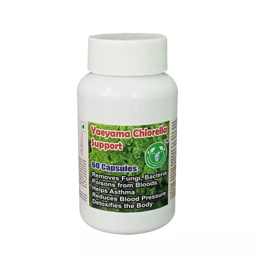 Universal Herbal & Concentrates Yaeyama Chlorella Support (60 Capsules)
