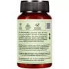 Jiva Ayurveda Brahmi  Tablets (120 Tablets)
