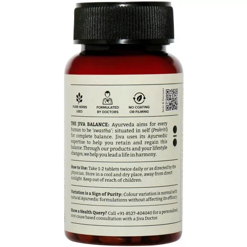 Jiva Ayurveda Diatrin  Tablet (120 Tablets)