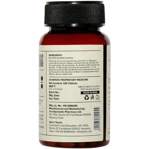 Jiva Ayurveda Diatrin  Tablet (120 Tablets)