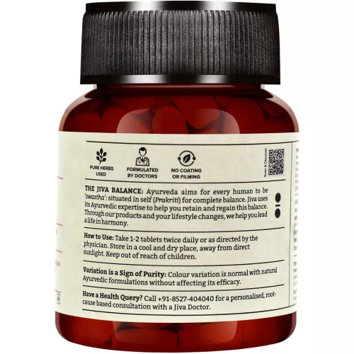 Jiva Ayurveda Diatrin  Tablet (60 Tablets)