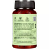 Jiva Ayurveda Neem  Tablets (120 Tablets)