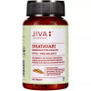 Jiva Ayurveda Shatavari  Tablets (120 Tablets)