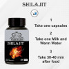 Earth King Shilajit  Capsulesule (60 Capsules)