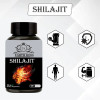 Earth King Shilajit  Capsulesule (60 Capsules)