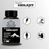 Earth King Premium Shilajit  Capsulesule (60 Capsules)