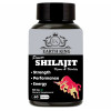 Earth King Power Shilajit Vigore & Vitality  Capsulesule (60 Capsules)