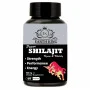 Earth King Power Shilajit Vigore & Vitality  Capsulesule (60 Capsules)