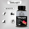 Earth King Power Shilajit Vigore & Vitality  Capsulesule (60 Capsules)