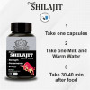 Earth King Power Shilajit Vigore & Vitality  Capsulesule (60 Capsules)