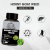 Earth King Horny Goat Weed  Capsulesule (60 Capsules)