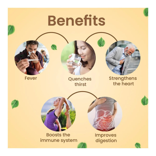 Cipzer Sharbat E Anjabar (200ml)