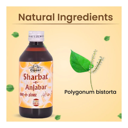 Cipzer Sharbat E Anjabar (200ml)