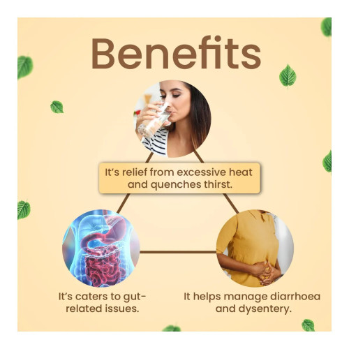 Cipzer Sharbat Belgiri (200ml)