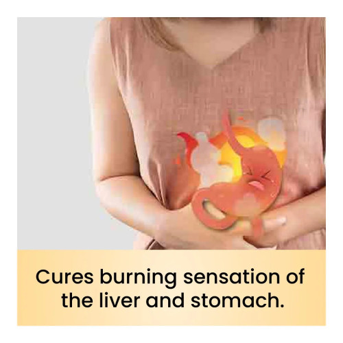 Cipzer Sharbat Sandal (200ml)