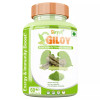 Divya Shree Giloy  Capsules (60cap)