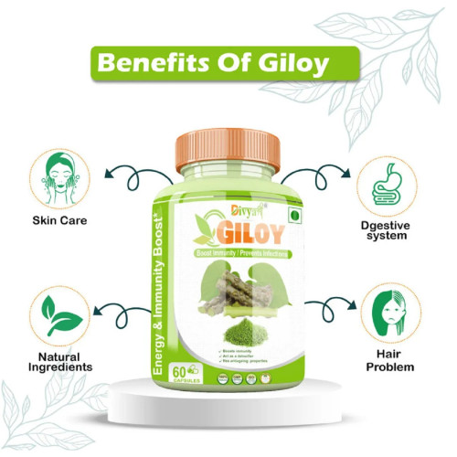 Divya Shree Giloy  Capsules (60cap)