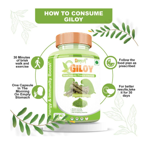 Divya Shree Giloy  Capsules (60cap)