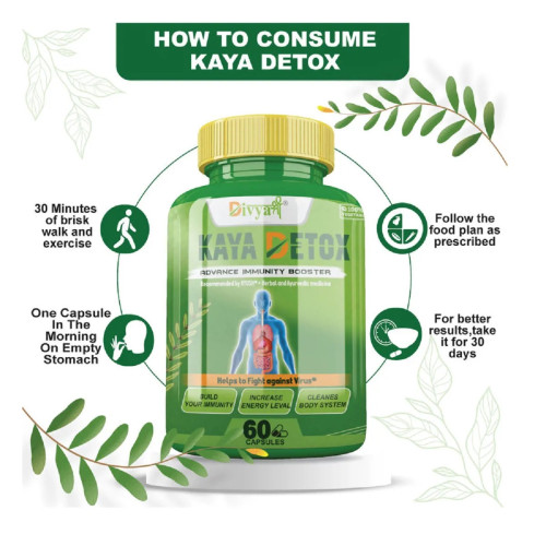 Divya Shree Kaya Detox  Capsules (60cap)