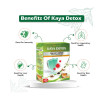 Divya Shree Kaya Detox Kwath Powder (100g)