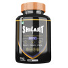 Divya Shree Shilajit  Capsules (60cap)