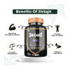Divya Shree Shilajit  Capsules (60cap)