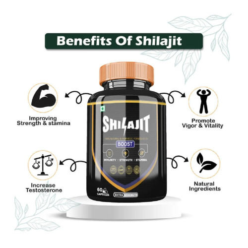 Divya Shree Shilajit  Capsules (60cap)