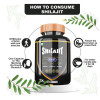 Divya Shree Shilajit  Capsules (60cap)