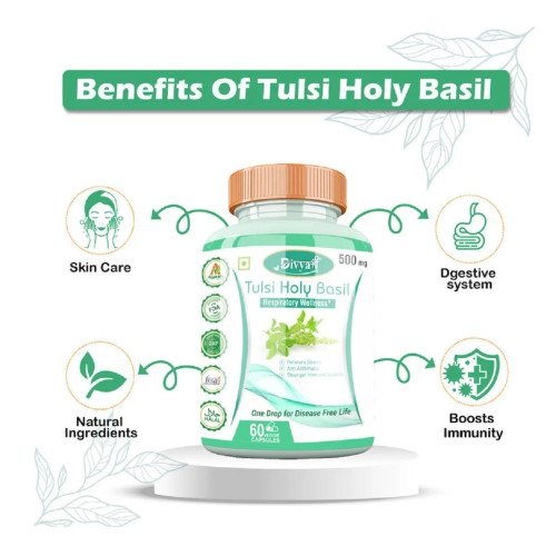 Divya Shree Tulsi Holy Basil  Capsules (60cap)