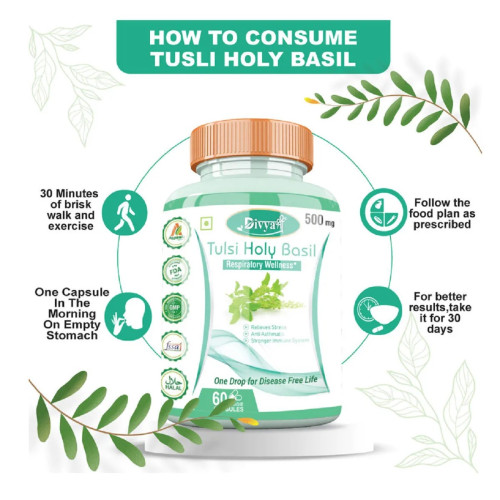 Divya Shree Tulsi Holy Basil  Capsules (60cap)