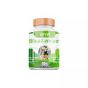 Divya Shree Shatavari  Capsules (60cap)