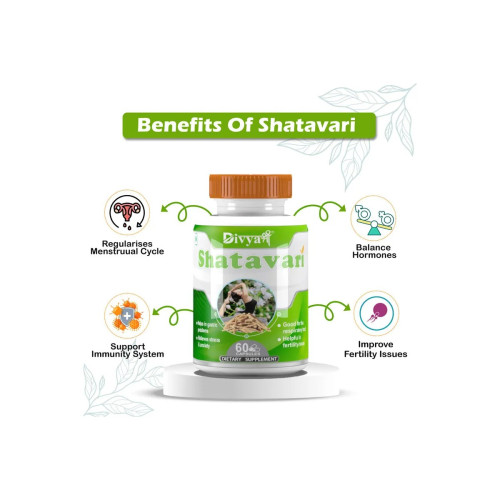 Divya Shree Shatavari  Capsules (60cap)