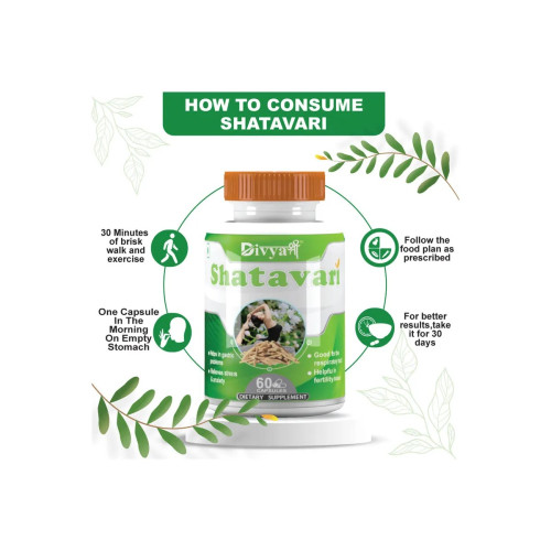 Divya Shree Shatavari  Capsules (60cap)