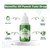 Divya Shree Punch Tulsi Drop (30ml)