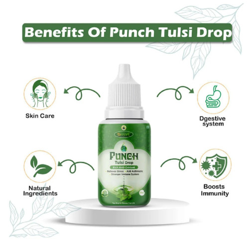Divya Shree Punch Tulsi Drop (30ml)