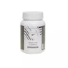 Baidyanath Ayurvedant Shatavari Churna (100g)